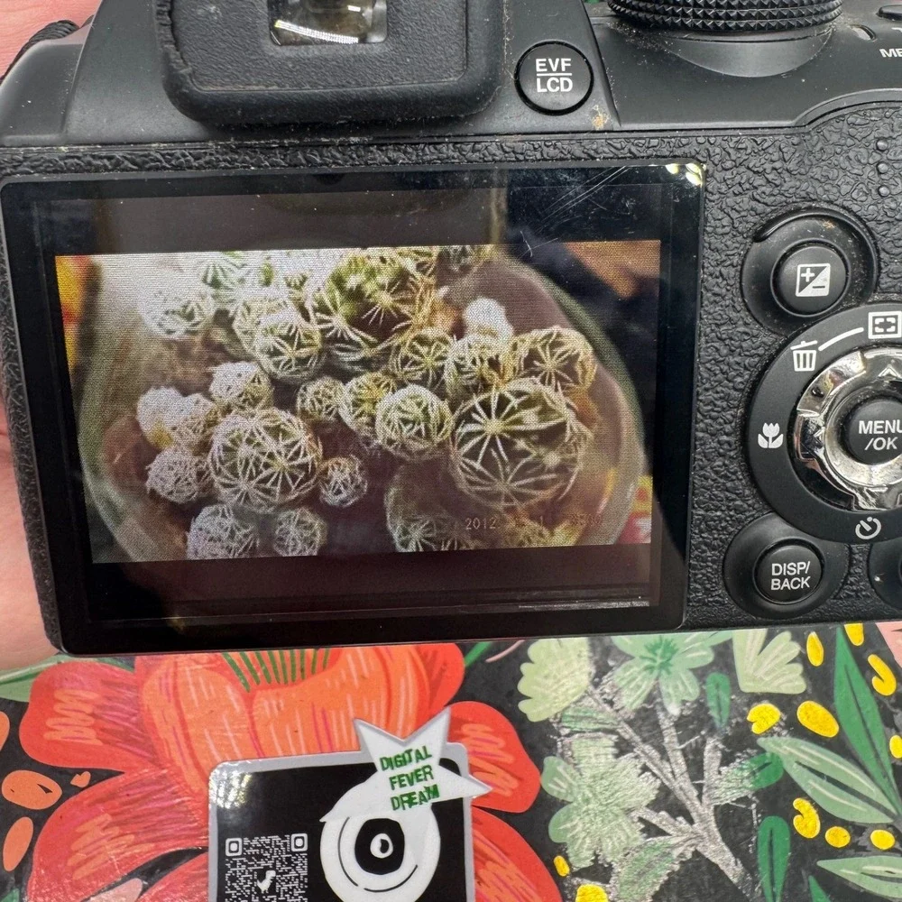 Fujifilm finepix s4200